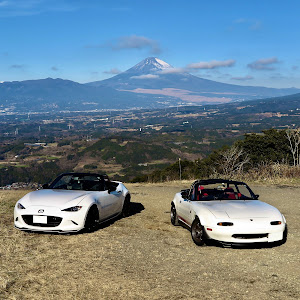 ロードスター NA8C