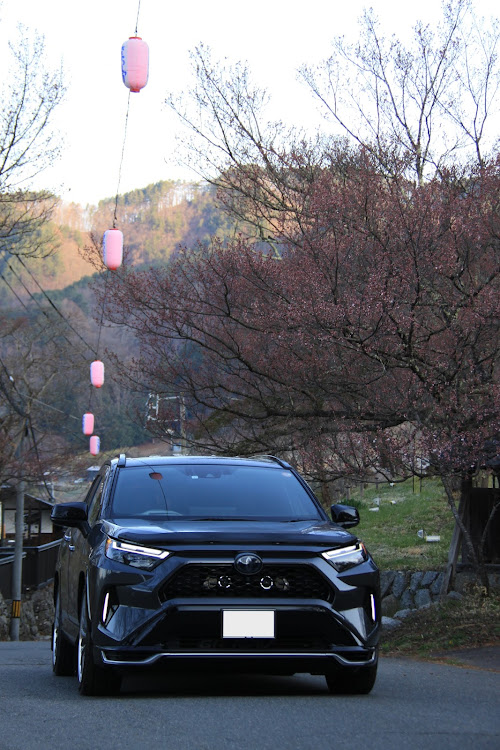 RAV4の桜スポット・サクラはまだかに関するカスタム事例の投稿画像1枚目