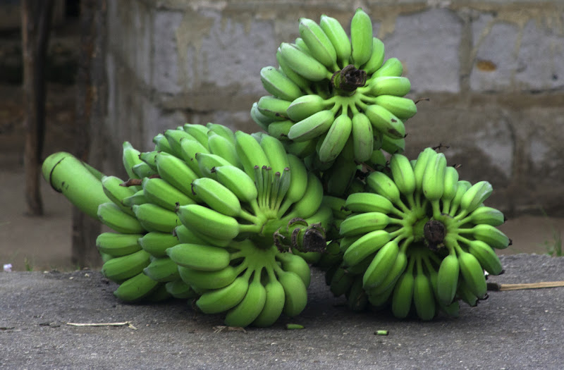 Green bananas di BrunoDiCostanzo