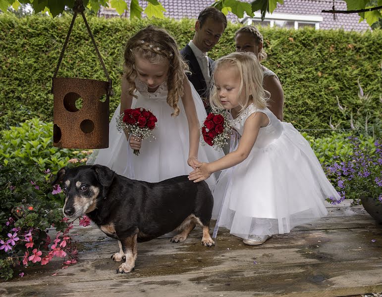 Pulmafotograaf Reina De Vries (reinadevries). Foto tehtud 23 juuni 2018