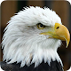 Download Wallpaper eagles For PC Windows and Mac 1.0