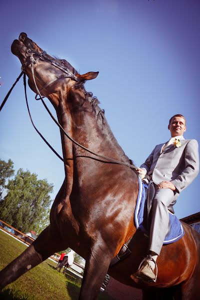 Bryllupsfotograf Evgeniya Ushakova (confoto). Bilde av 29 juli 2014