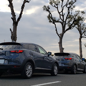 CX-3 DKLFW