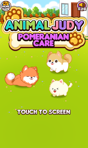 Animal Judy: Pomeranian care