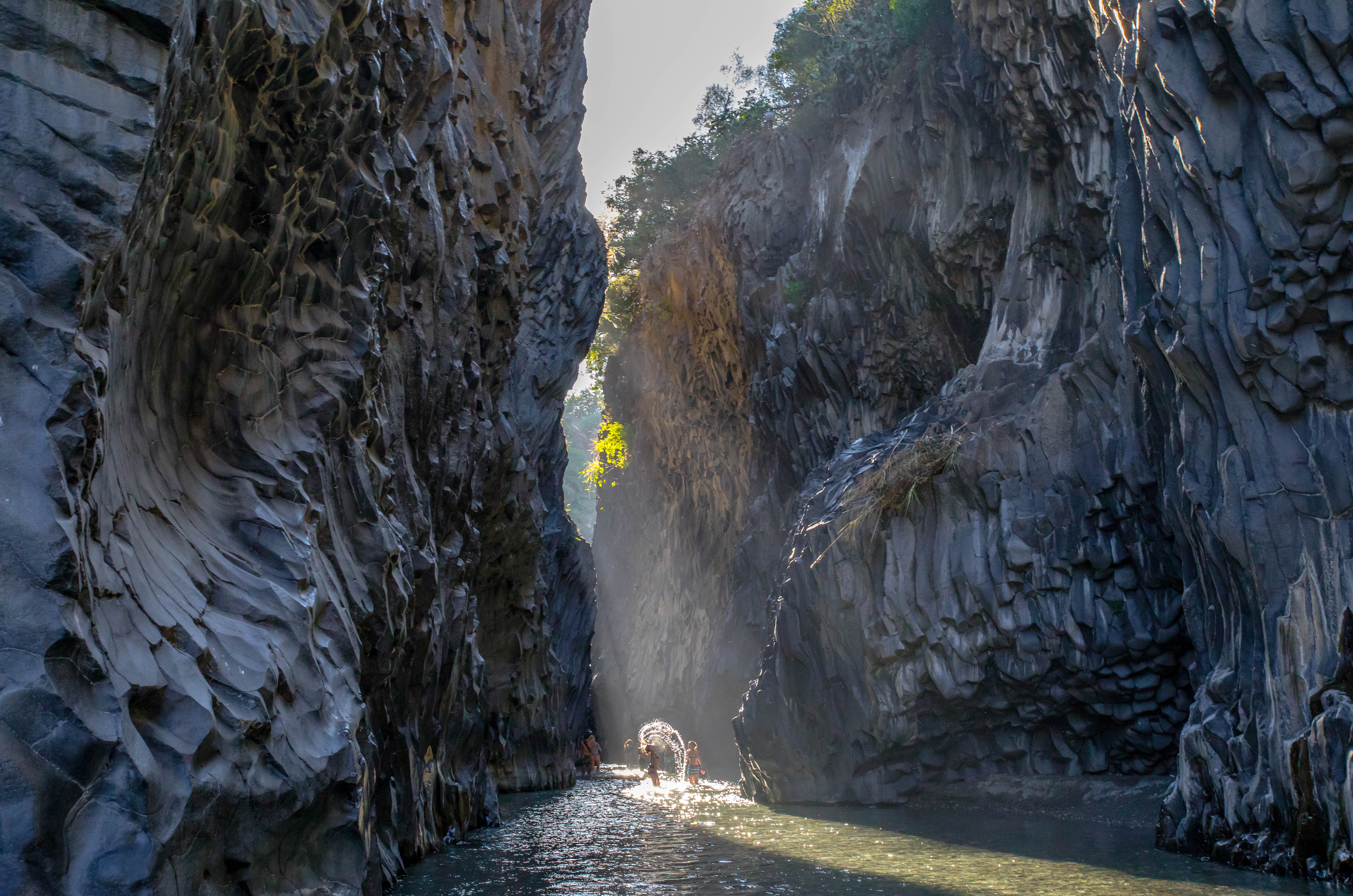 Un tuffo nella natura immersa di Massimiliano Trovato Photographer