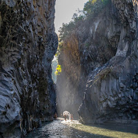 Un tuffo nella natura immersa di 