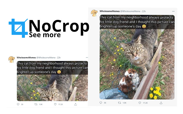 NoCrop for Twitter chrome extension