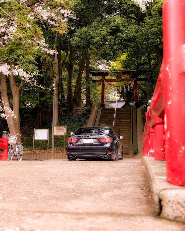 LSのサクラと愛車・桜・ﾍﾝﾀｲｽﾀｲﾙ・鳥居と桜に関するカスタム事例の投稿画像1枚目