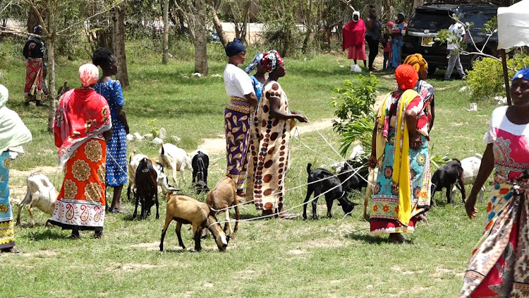 Some of the widows who received the 200 goats n Kilifi county.