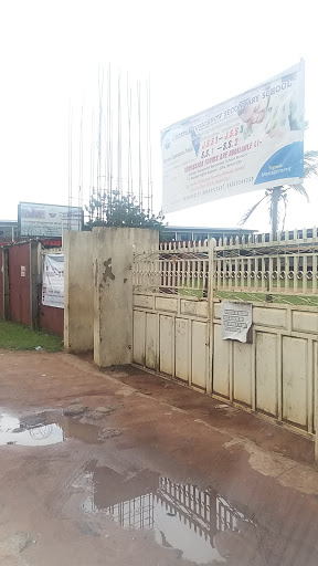 Greater Tomorrow Secondary School, 9 Reuben Agho, Oka, Benin City, Nigeria, Kindergarten, state Edo