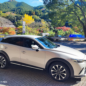 CX-3 DK8FW