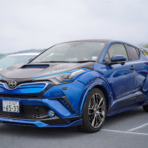 C-HR ZYX10