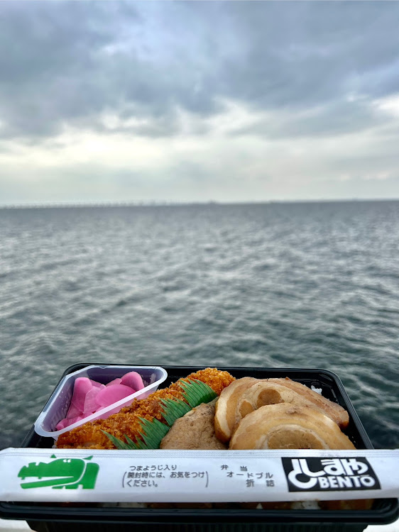 フェアレディZのアスリートなお嬢様・大黒PA・湾岸ミッドナイト・チャー弁・としまや弁当に関するカスタム事例の投稿画像10枚目