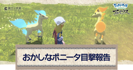 アルセウス おかしなポニータ目撃報告の攻略 サブ任務19 ポケモンアルセウス攻略wiki 神ゲー攻略