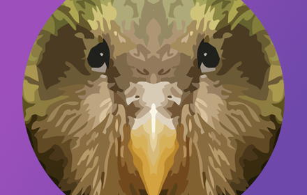 Kakapo for Chrome small promo image