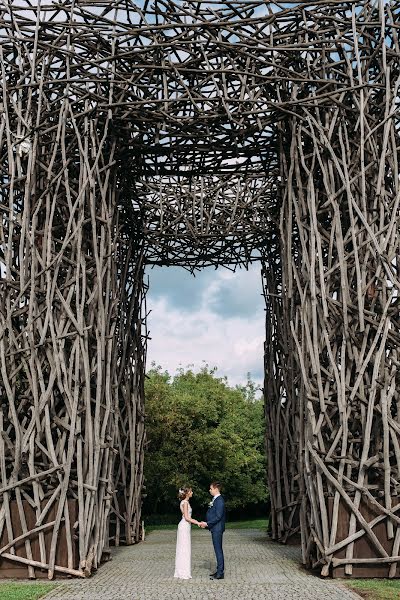 Vestuvių fotografas Anna Sushkova (anich). Nuotrauka 2017 lapkričio 9