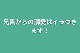 兄貴からの溺愛はイラつきます！！