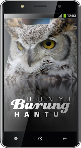 Download Gambar Burung Hantu Hitam Putih