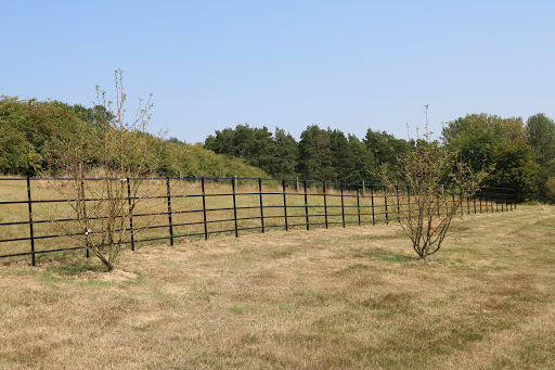 paddock fence 5 bar