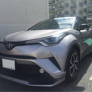 C-HR ZYX10