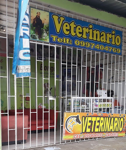 Veterinario