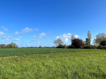 terrain à Joue-les-tours (37)