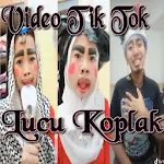 Cover Image of ダウンロード Video Tik Tok Lucu Terkoplak 1.0 APK