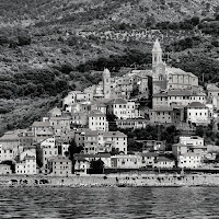 cervo di 