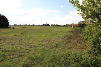 maison neuve à Noe (31)