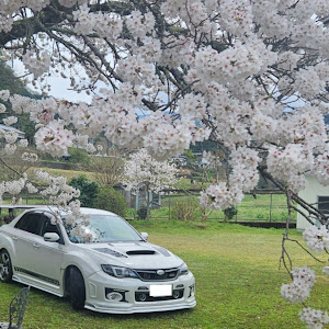 インプレッサ WRX STI GVF