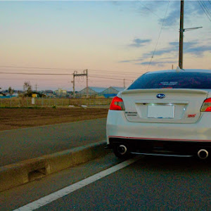 WRX STI