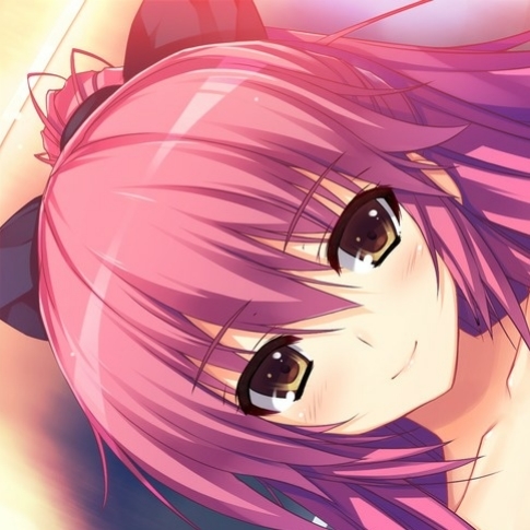 newdoのプロフィール画像