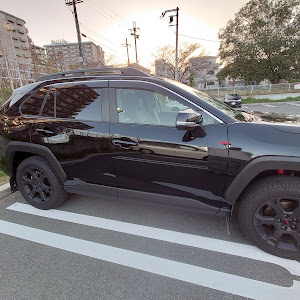 RAV4 MXAA54