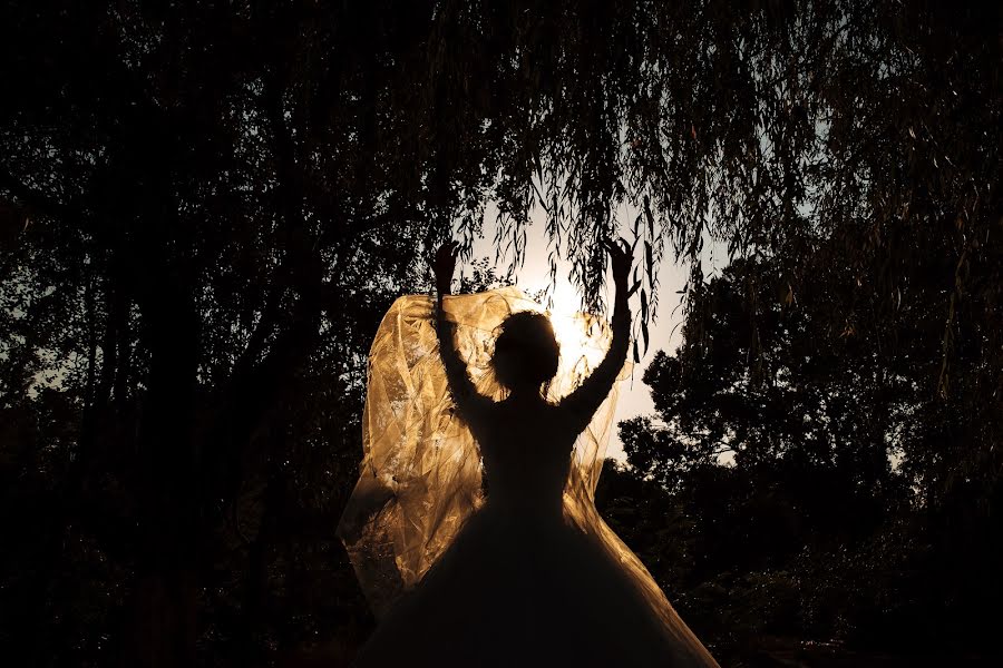 Fotógrafo de casamento Emil Doktoryan (doktoryan). Foto de 1 de outubro 2017