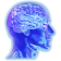 Memory Test icon