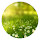 Sunny Meadow New Tab HD Popular Scenery Theme