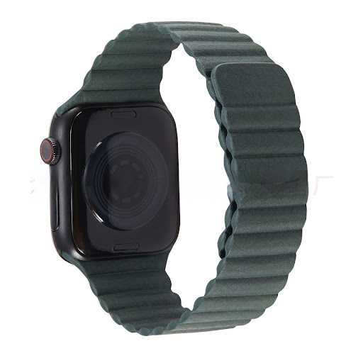 Title 16, Leather loopback watch strap replacement, perfe...