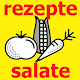 Download Salate Rezepte For PC Windows and Mac seobiz