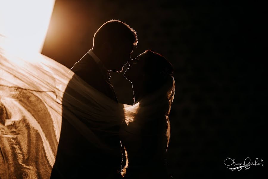 Wedding photographer Olivier Fréchard (frechard). Photo of 14 April 2019