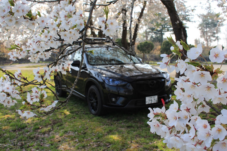 CX-5のCX5・cx5好きな人と繋がりたい・岩手・カメラ初心者・ピックアップに憧れる系おじさんに関するカスタム事例の投稿画像1枚目