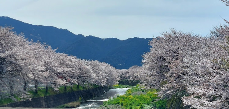 の投稿画像3枚目