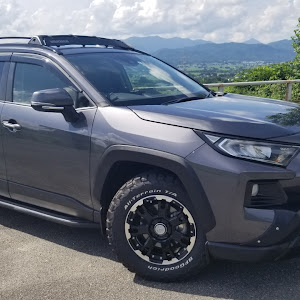 RAV4