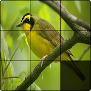 Photo Puzzle Nsoft  Icon