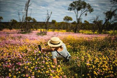 A person kneeling in a field of flowers

Description automatically generated with low confidence