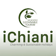 iChiani  Icon