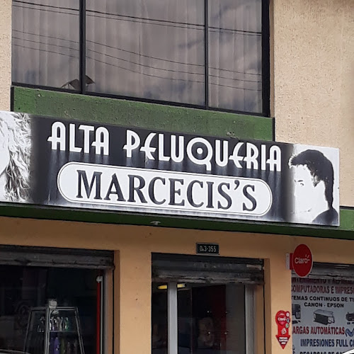 Alta Peluquería Marcecis's