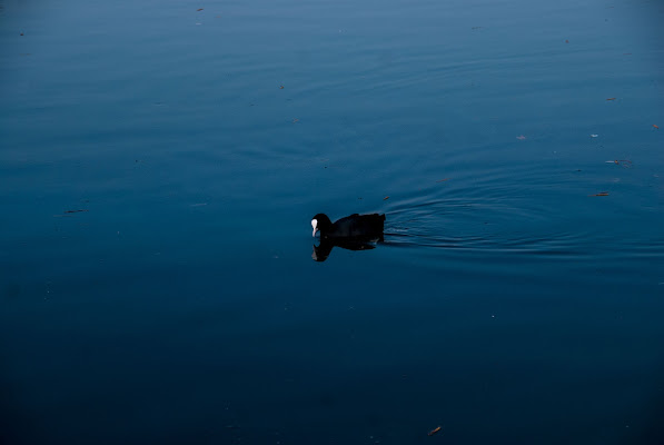 tranquility di eleonora_marziali