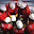 WTM Download on Windows