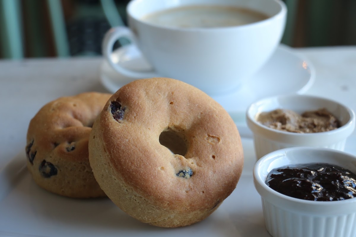 Cranberry Bagels