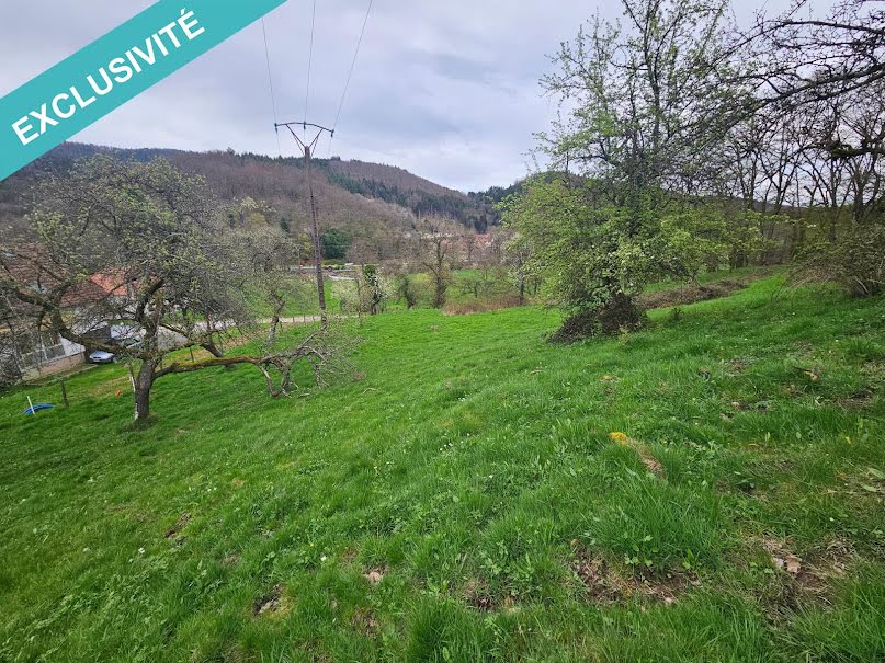 Vente terrain  664 m² à Niederbruck (68290), 63 760 €